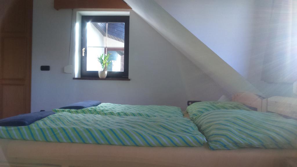Haus Ruf Διαμέρισμα Windischgarsten Εξωτερικό φωτογραφία